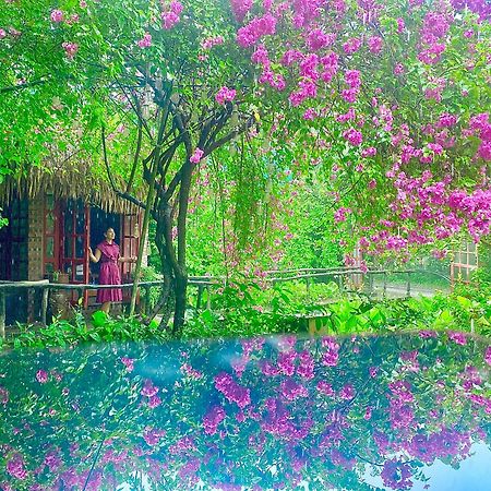 Maison Teahouse Homestay Ha Giang Exterior foto