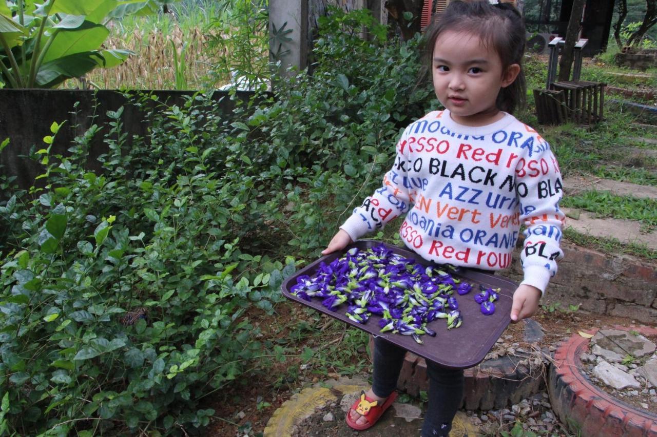 Maison Teahouse Homestay Ha Giang Exterior foto