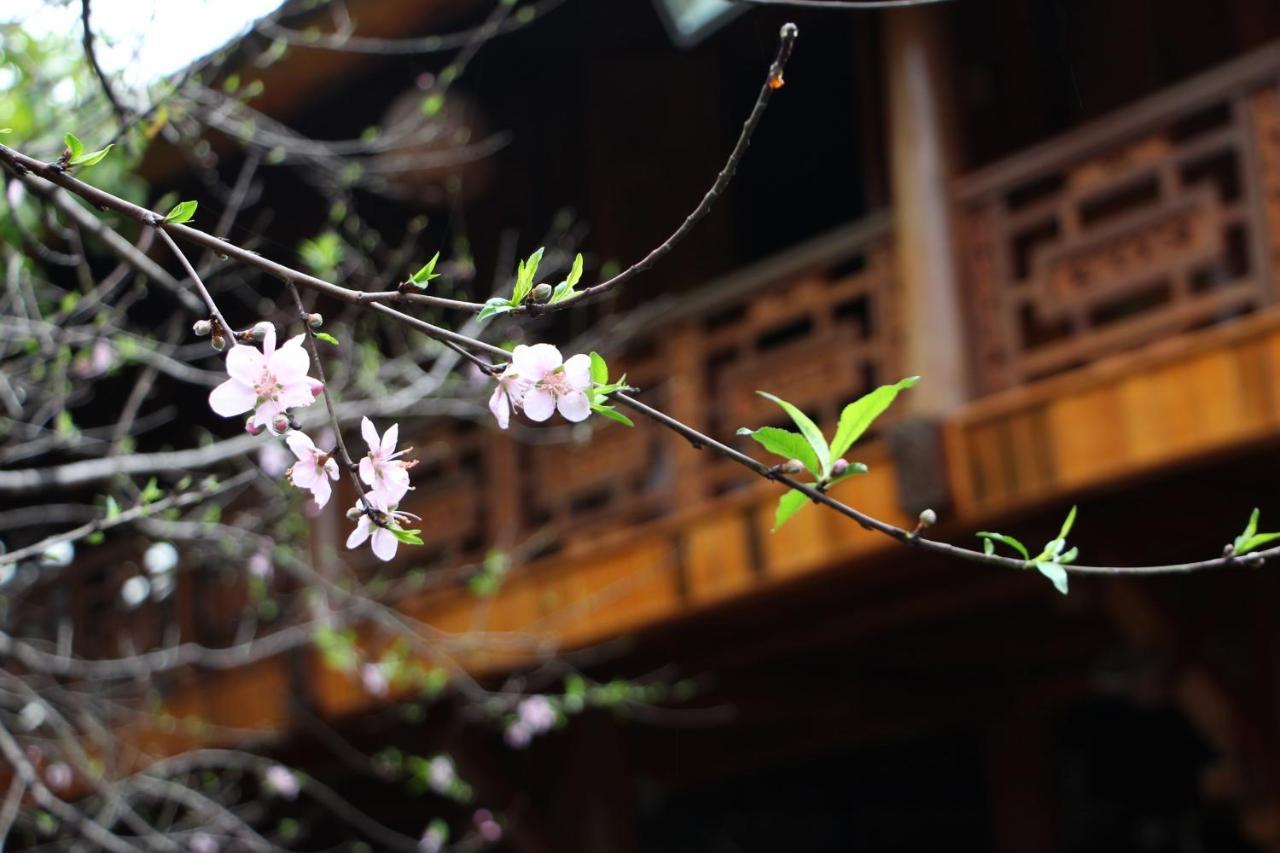Maison Teahouse Homestay Ha Giang Exterior foto