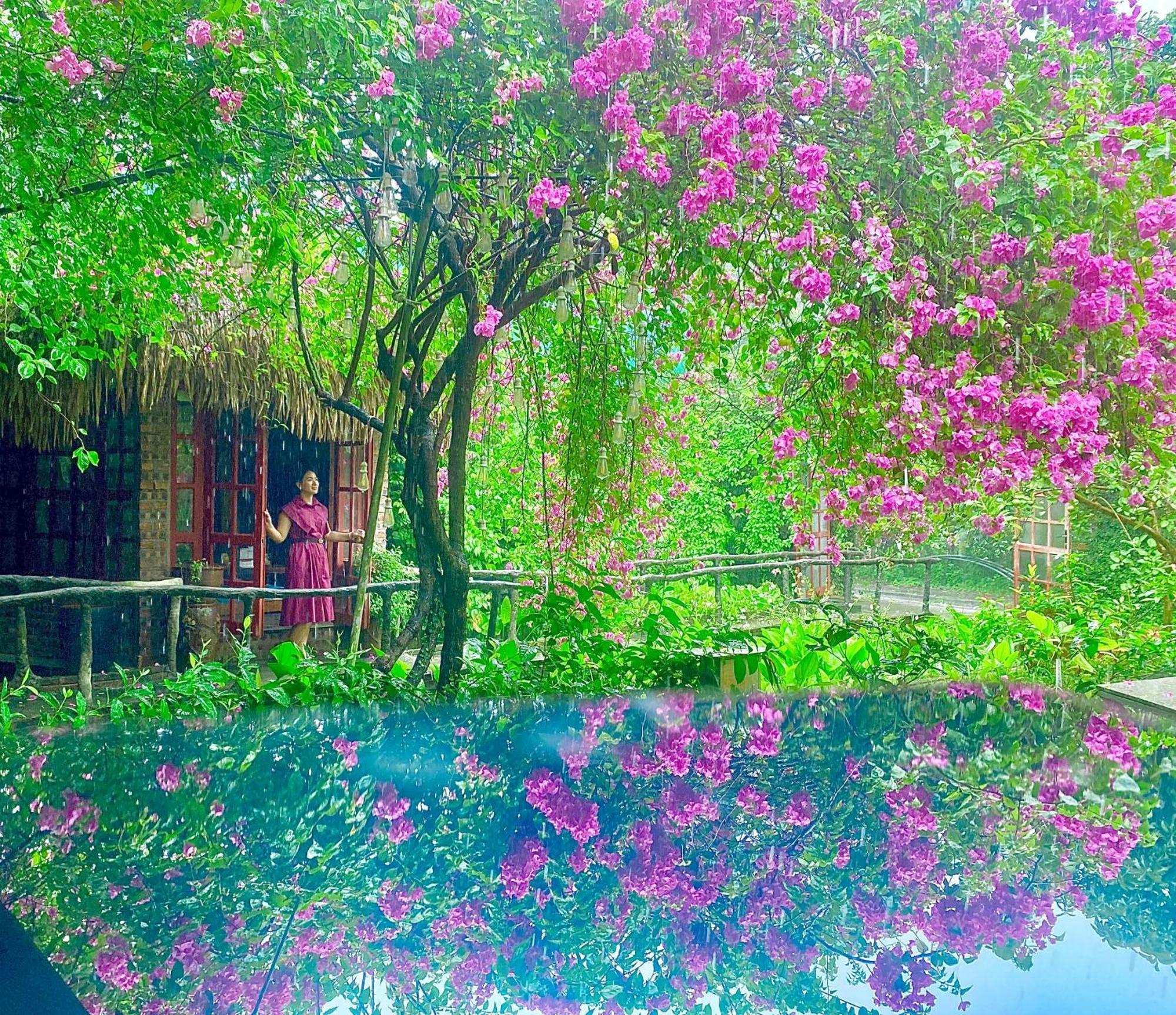 Maison Teahouse Homestay Ha Giang Exterior foto